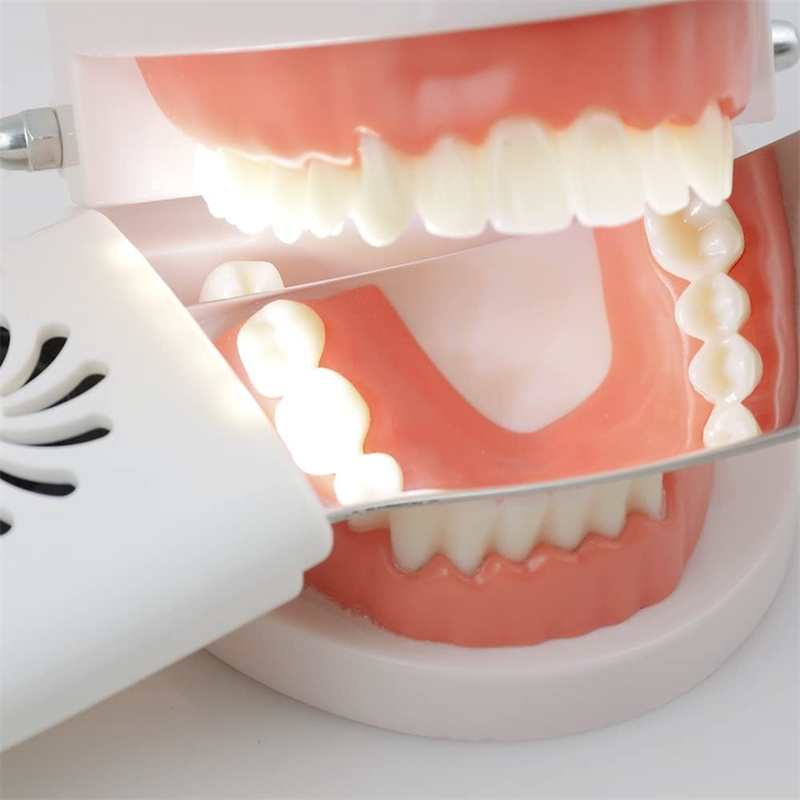 Dental Anti-Fog Mirrors With L - Photography Lighting Led บทวิจารณ์และราคา